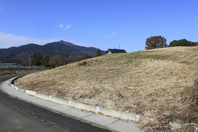 �Ή��s����