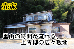 �Ή��s���