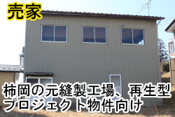 �Ή��s�`��